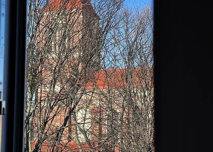 Royal Attic Luxury Old Town 公寓 格但斯克